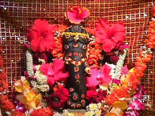 ganap98.jpg (30505 bytes)